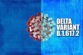 Delta Variant B.1.617.2