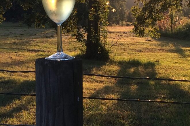 Wine glass on a fence post