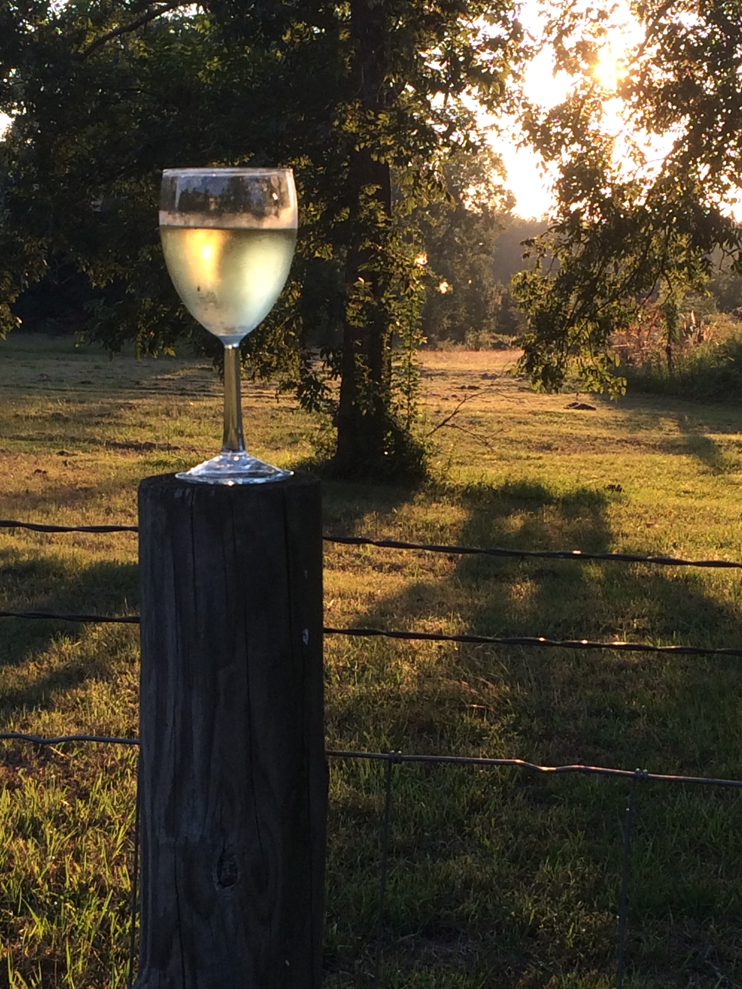 Wine glass on a fence post