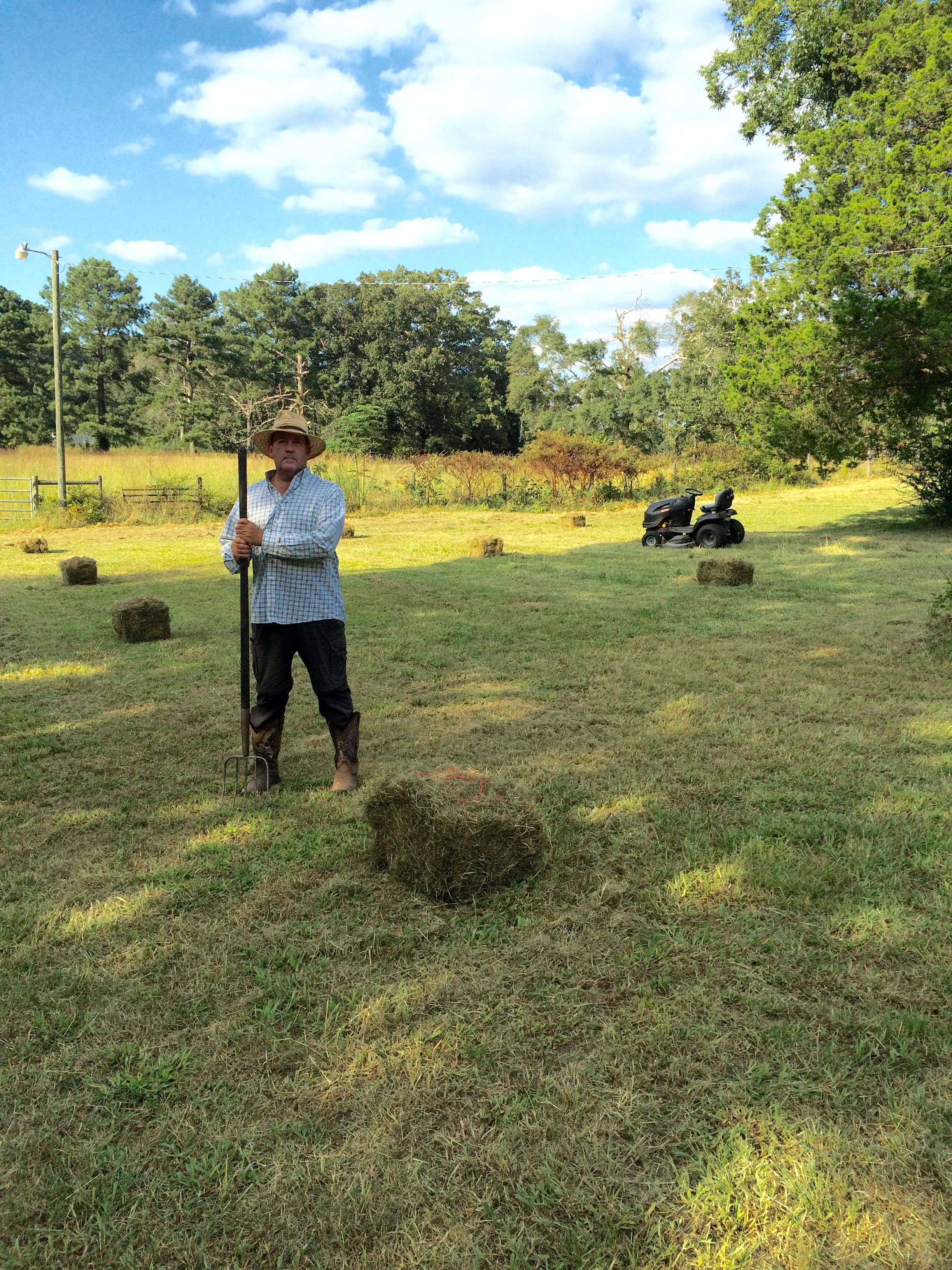 Making hay at Harmony Hall