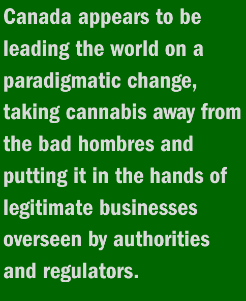 Canada cannabis pull quote